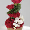 Tiered arrangement of red roses with white orchids in a round box