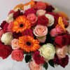 Bouquet of red, pink, and cream roses with orange gerbera daisies