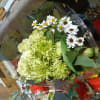 Bouquet of green chrysanthemums and white daisies wrapped in clear plastic