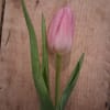 Single pink tulip with long green leaves on a wooden surface