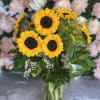 Sunflower bouquet in a clear glass vase with white filler flowers