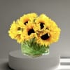 Sunflowers arranged in a clear square vase