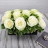 White roses arranged in a low rectangular container with green foliage