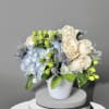 Cream roses and blue hydrangea in a white vase