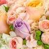 Pastel roses in pink, peach, lavender, and white