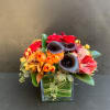 Mixed bouquet with red roses, black calla lilies, and orange tulips in a glass vase