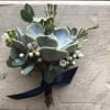 Small succulent boutonniere with white buds and a navy ribbon