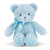Light blue teddy bear with a satin bow and "Baby's First Bear" on its foot