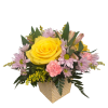 This darling arrangement comes in a variety of pastel colored tins with