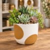 Succulent arrangement in a white pot with gold oval accents
