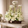 For those seeking a gift that speaks volumes, Sweet Elegance is the
