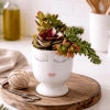 Succulent arrangement in a white face-shaped planter on a wooden tray