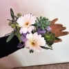 Wrist corsage with pale pink daisies, succulents, and purple ribbon