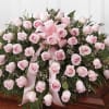 A soft cascade of pale blush roses creates a comforting, traditional casket