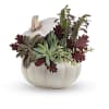 Succulent arrangement in a white pumpkin-shaped container