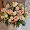 Hadringias, roses,spray roses,and other filters 