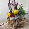 Basket arrangement with yellow and pink roses and purple spikes