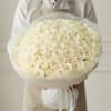 Large bouquet of cream roses wrapped in white paper