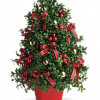 Potted evergreen topiary decorated with red ribbons and ornaments