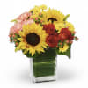 Bouquet of sunflowers, red roses, and pink carnations in a glass vase