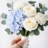 Handheld bouquet of white roses, blue hydrangea, and white mums