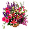 Bursting with pinks and purples, this arrangement is a statement piece! Surprise