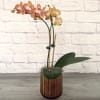 Potted orchid arrangement in a ribbed glass vase with a heart accent