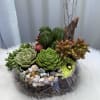 Succulent arrangement in a glass bowl with pebbles and driftwood