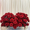 Large low arrangement of dozens of red roses in a wide bowl on a white table with cream drapery backdrop