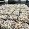 Tray of nut-covered chocolate bars on a dark surface