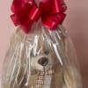 Teddy bear gift basket wrapped in clear plastic with a red bow