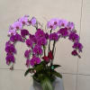 Pink and purple orchids arranged in a silver pot with a butterfly accent.