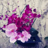 A tropical arrangement with a variety of orchids on display. 