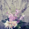  Light colored variety of orchids in a black square vase.