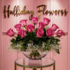 Hot Pink Roses
