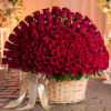 100 Red Roses in a Basket  one sided
