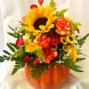 Great pumpkin arrangement, with lovely fall assorted flowers. Reusable ceramic pumpkin great