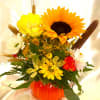 Adorable and fall colorful pumpkin arrangement. Flowers and greens may vary; depending