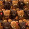 Rows of brown and tan teddy bears with ribbon bows