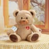 Plush teddy bear with a bandage and "get well soon" arm wrap