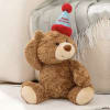 Teddy bear wearing a happy birthday party hat