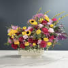 Mixed bouquet of pink, yellow, and red flowers in a white vase