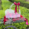 Red roses in a clear handled gift bag with a pink ribbon bow