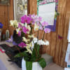 Arrangement of purple, pink, white, and yellow orchids in a white vase