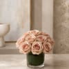 A compact dome of blush and pale peach roses creates a soft