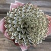 Bouquet made of folded dollar bills with pink wrapping paper