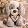 Plush dog holding a heart that says "HUG ME" with pink roses nearby