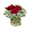 Red roses in a clear square vase with white baby's breath