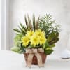 Yellow daisies in a wicker basket with a burlap bow