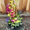 Colorful orchid arrangement in a black dish with mixed blooms